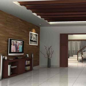 Interior Designing