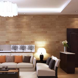Interior Designing